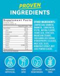 Zenwise Chewable Digestive Enzymes for Gut Health