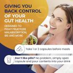 Eat Anything Digestive Enzymes with Prebiotics & Probiotics