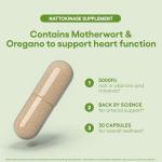 Nattokinase Arterial Support with Oregano & Motherwort