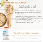 Nattokinase 2000 FU – Heart Health Support 90 Veg Caps