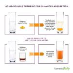 High Strength Liquid Turmeric with Papaya Enzymes