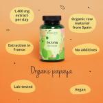 Organic Papaya Extract 1400 mg - 120 Vegan Caps