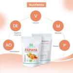 Organic Papaya Fruit Powder, 100g