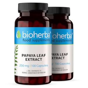 Papaya Leaf Extract 250 mg – Digestive Support Capsules