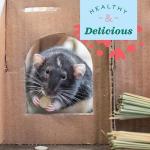 Oxbow Papaya Support for Small Pets