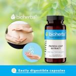 Papaya Leaf Extract 250 mg – Digestive Support Capsules