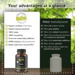 Biotiva Organic High Dose Papaya Extract Capsules