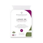 Lipase DR 50mg | Gut Health Enzyme Supplement