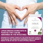 Lipase DR 50mg | Gut Health Enzyme Supplement
