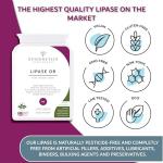 Lipase DR 50mg | Gut Health Enzyme Supplement