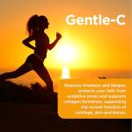 Gentle Vitamin C 1,000mg - 120 Vegan Tablets