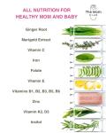 Prenatal Vitamins for 1st Trimester Pregnancy Support