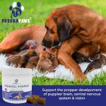 Dog Prenatal Vitamins - Supports Healthy Pregnancy & Puppies