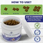 Dog Prenatal Vitamins - Supports Healthy Pregnancy & Puppies