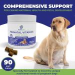 Dog Prenatal Vitamins - Supports Healthy Pregnancy & Puppies