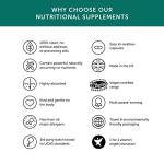 Pregnancy Multi Vitamin & Mineral Formula – Vegan