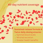 Strong Vegetarian Vitamin B Complex Tablets, 28 Count