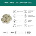 Vegan Vitamin D3 1000 IU - 30 Capsules