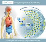 DAOfood Dietary Support for DAO Deficiency 60 Tablets