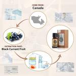 Organic Black Currant Oil for Skin and Hair