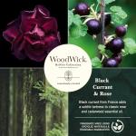 WoodWick Renew Black Currant & Rose Candle