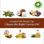 Pure Black Currant Carrier Oil 15ml
