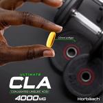 High Strength CLA 4000mg Softgels – 120 Count