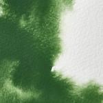 Oxide of Chromium 5 ml Professional Water Colour
