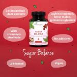 Vegavero Blood Sugar Support - 120 Vegan Capsules