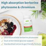 Advanced Berberine & Chromium Picolinate Supplement 60 Caps