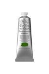 Chromium Oxide Green Acrylic Paint, 60 ml