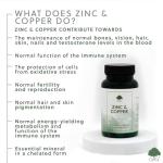 Zinc & Copper Chelated Supplement for Immune Support
