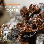 Alpha01 Chelated Copper 1mg - Vegan Energy Support