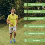 Bodygenix Copper 2mg Tablets for Immune Support