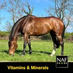 NAF Vitamin E & Selenium for Active Horses