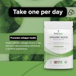 Bodygenix Silica 500mg Bamboo Extract Capsules
