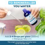 Ultra Lyte Trace Mineral Drops for Energy and Balance