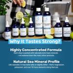 Ultra Lyte Trace Mineral Drops for Energy and Balance