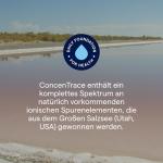 Trace Minerals Electrolyte Concentrate - 40,000 Volts!
