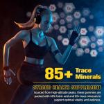 Shilajit Gummies with Ashwagandha and Gokshura
