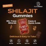 Shilajit Gummies with Ashwagandha & 85+ Minerals
