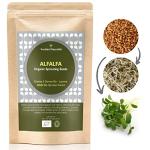 Organic Alfalfa Sprouting Seeds 250g - Non-GMO