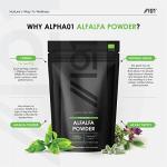 Organic Alfalfa 1200mg Vegan Capsules - 120 Count