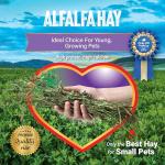 Alfalfa Hay Food for Young Small Pets