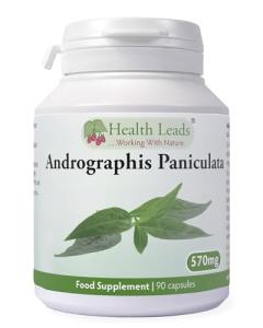 Andrographis Paniculata 570mg - 90 Capsules
