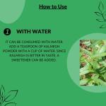 Kalmegh Powder - Herbal Liver Detox & Immune Support