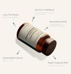 Andrographis Paniculata 500mg - Vegan Capsules