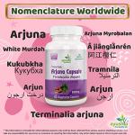 Ayushya Arjuna Capsules - 60 Natural Capsules