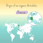 Vegavero Organic Artichoke Extract 40,000mg - Vegan