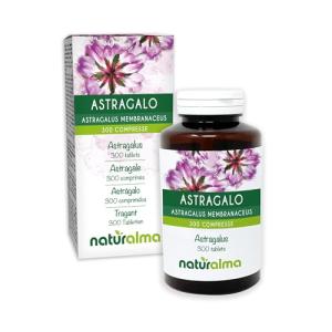 Astragalus Root Tablets - Vegan Food Supplement - 300 Count